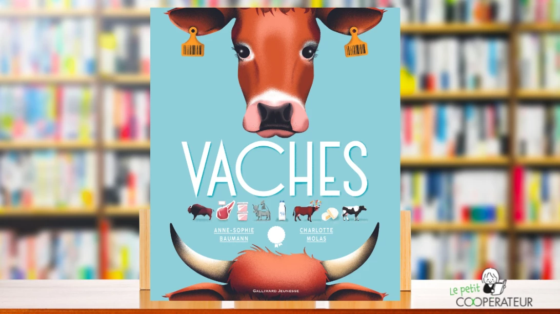 Le livre Vaches écrit par Anne-Sophie Baumann permet de mieux comprendre la vie agricole entourant les grandes ruminantes.