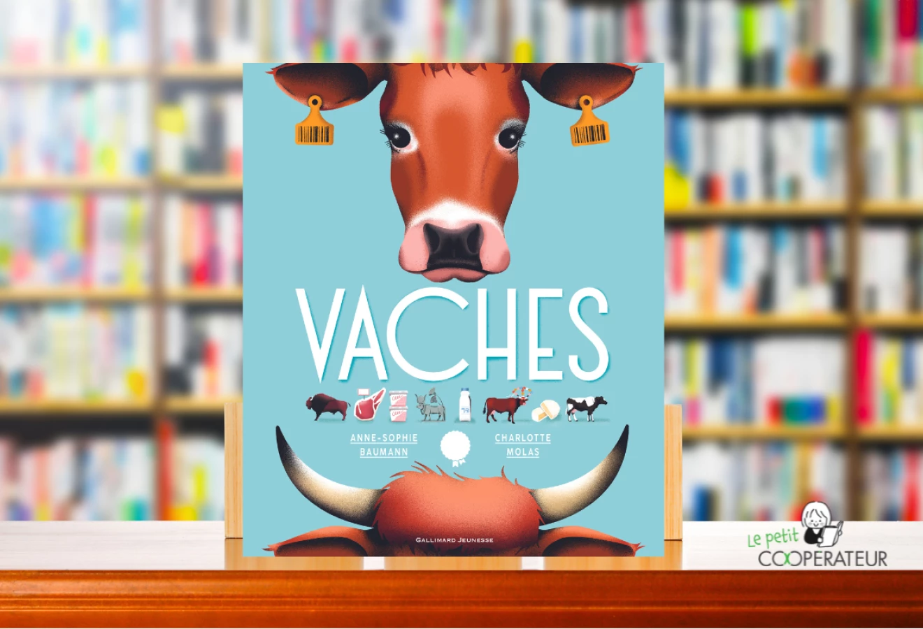 Le livre Vaches écrit par Anne-Sophie Baumann permet de mieux comprendre la vie agricole entourant les grandes ruminantes.