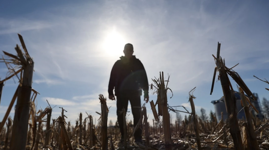 Homme dans un champ à contre-jour