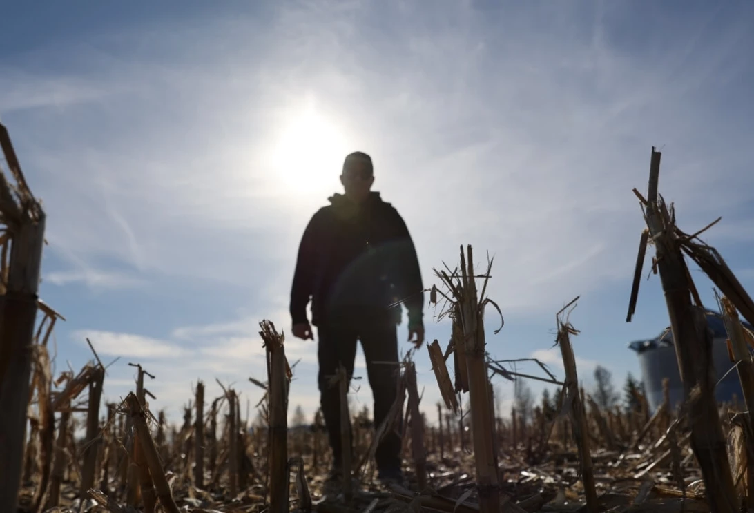 Homme dans un champ à contre-jour