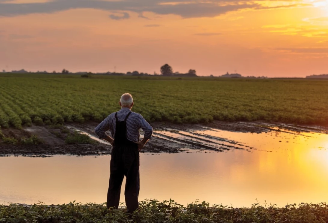 Un homme regarde un champ inondé