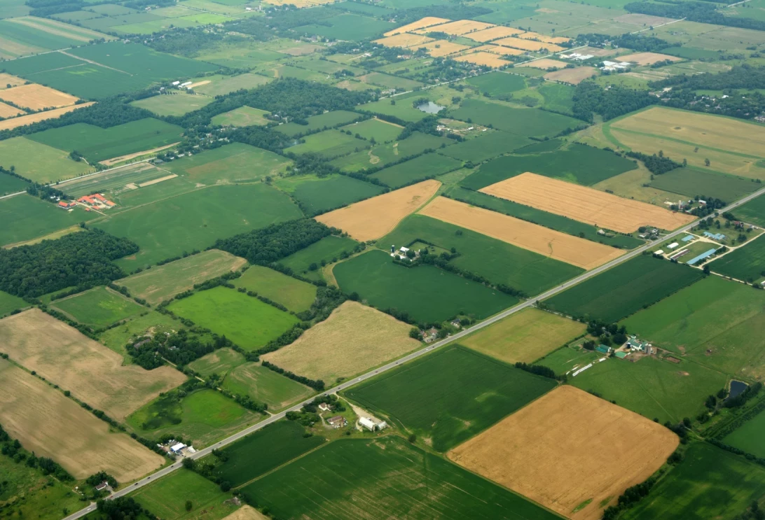 Champs agricoles