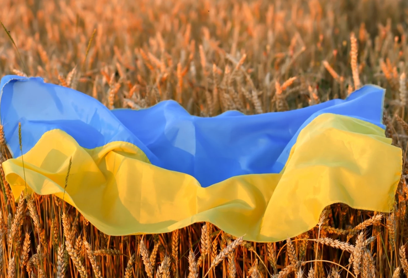 Un drapeau de l'Ukraine déposé sur un champ de blé