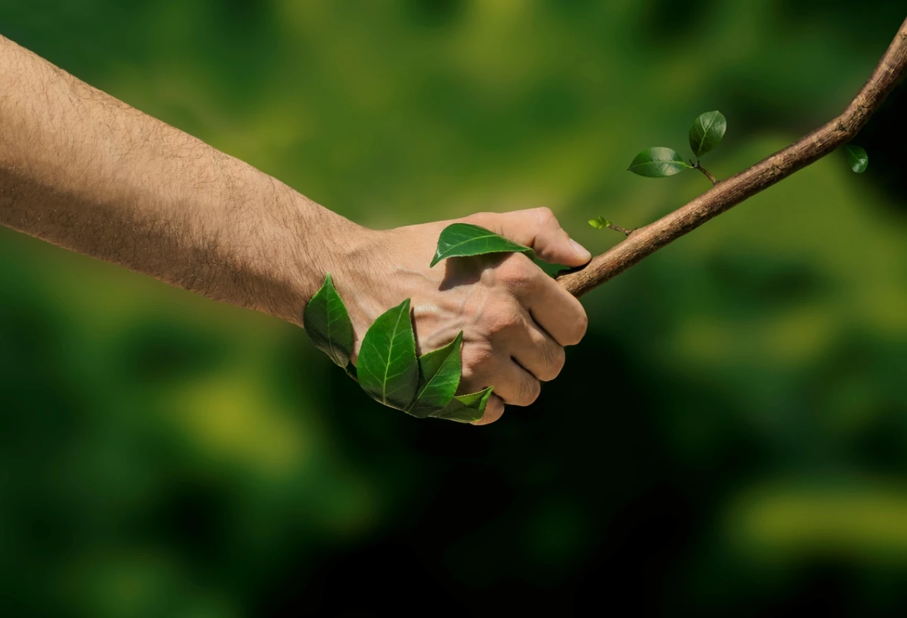 Main et arbre poignée de main