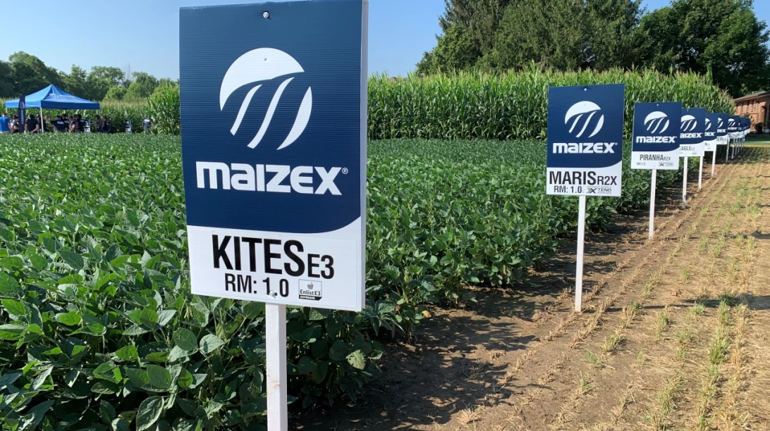 Nouvelle image de marque de Semences Maizex