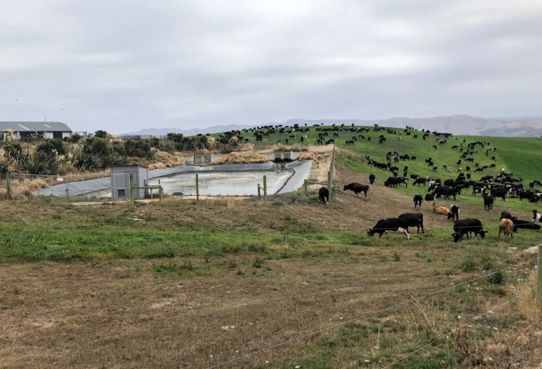 Fosse liquide de la ferme de Matt Ross, en Nouvelle-Zélande