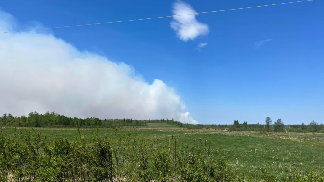 Fumée de l'incendie de forêt à l'horizon