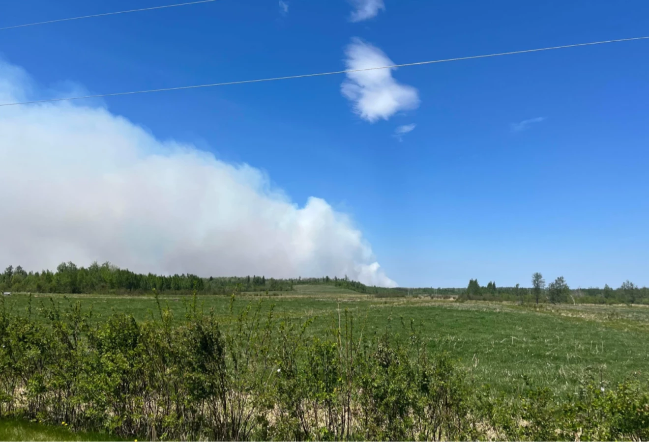 Fumée de l'incendie de forêt à l'horizon
