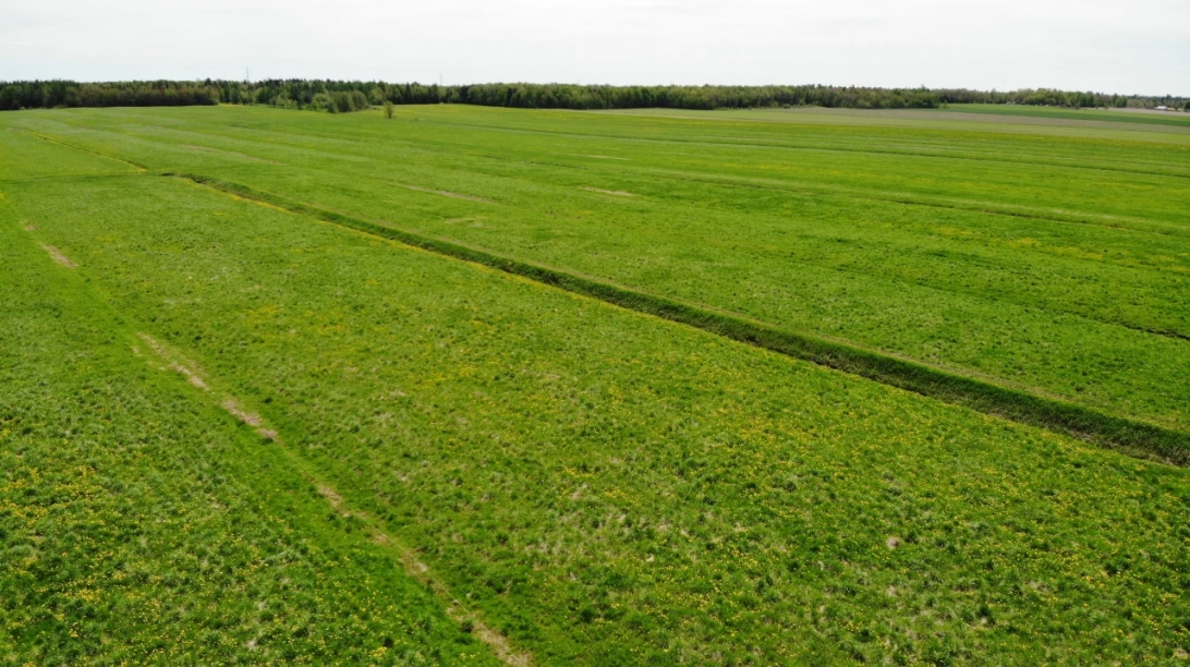 Paysage de champ verts avec des longues parcelles horizontales.