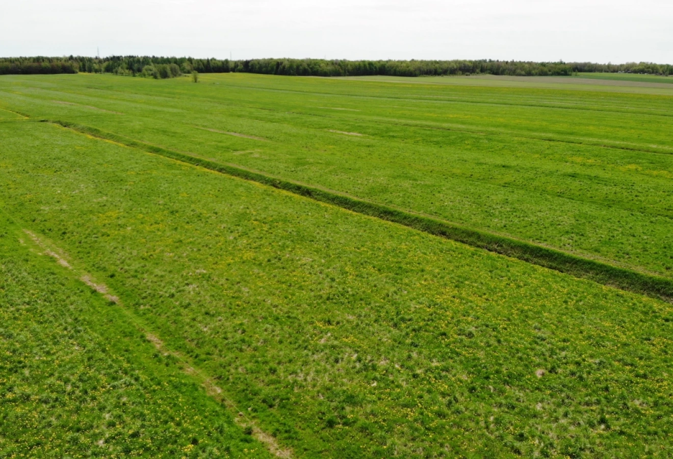 Paysage de champ verts avec des longues parcelles horizontales.