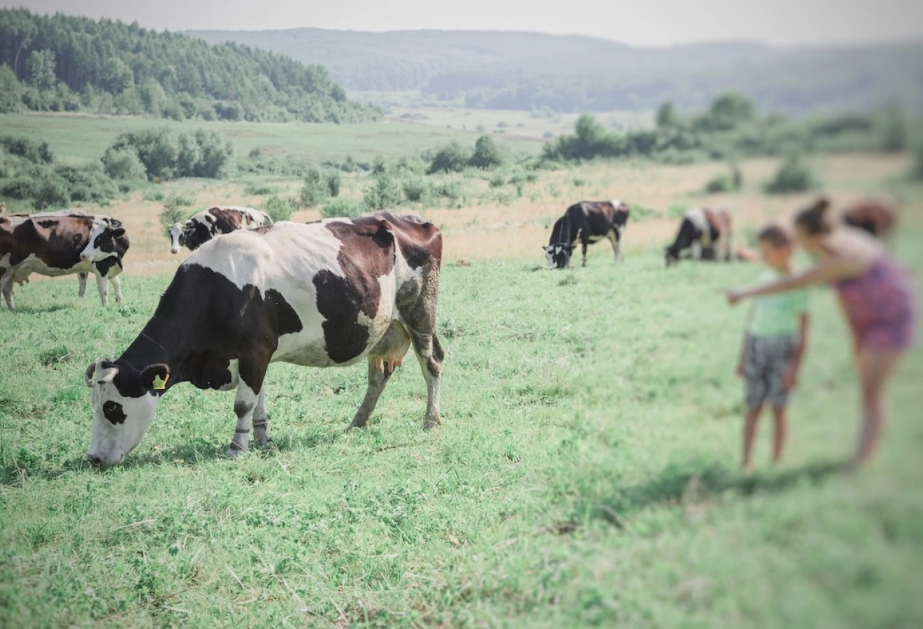 Production-laitiere-ukraine