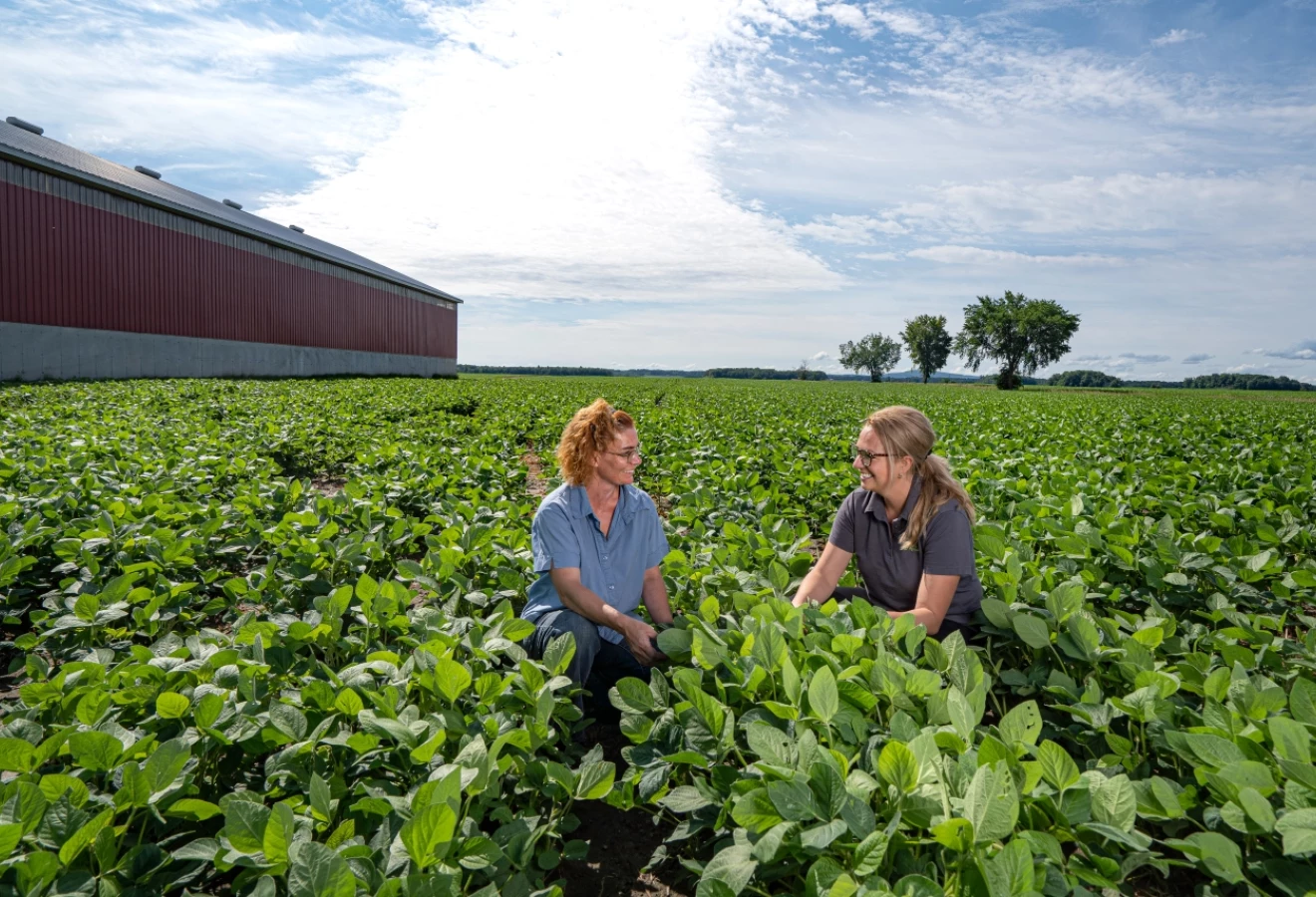 Deux expertes-conseil de Sollio Agriculture accroupies dans un champ de soya 