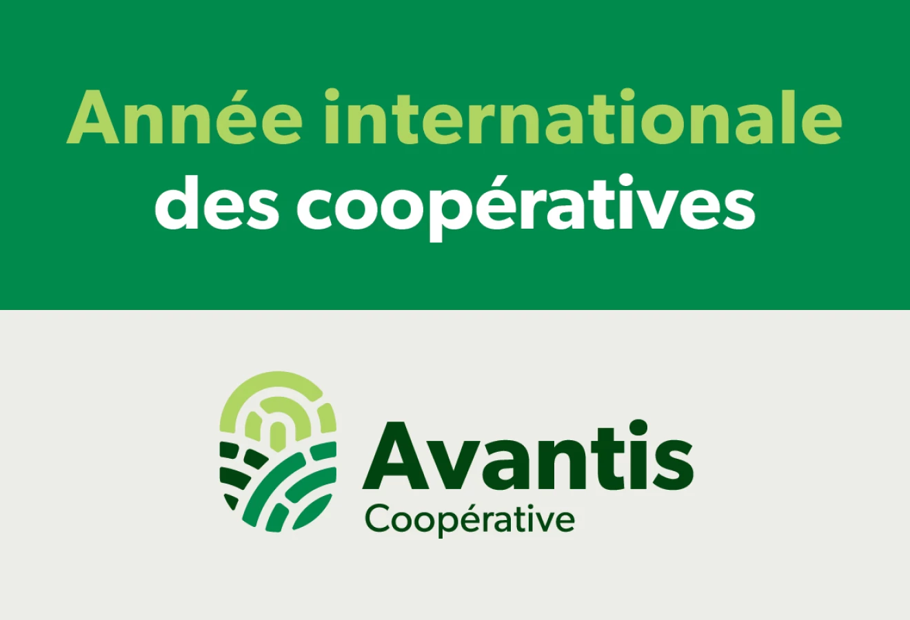 Logo de l'Année internationale des coopératives et logo d'Avantis Coopérative