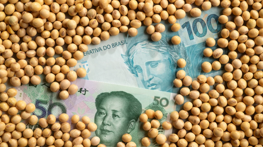 De l'argent chinois et brésilien sous des grains de soya