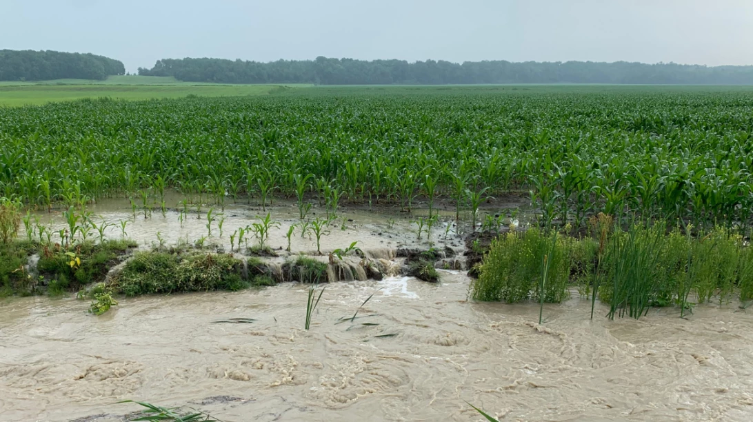 Champ inondé