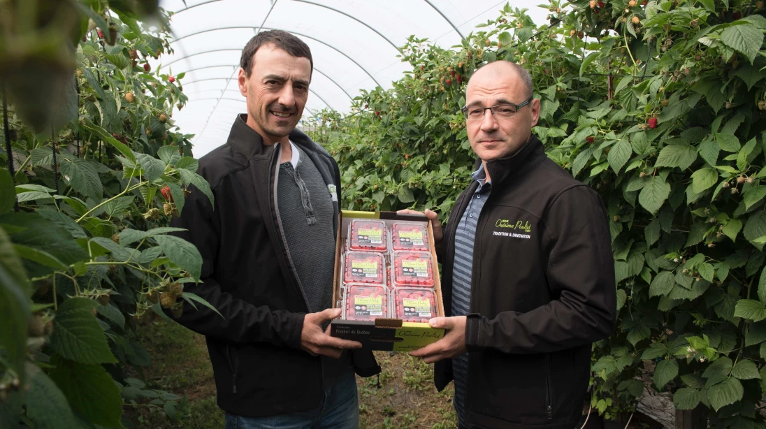 Daniel et Guy Pouliot, de la Ferme Onésime Pouliot