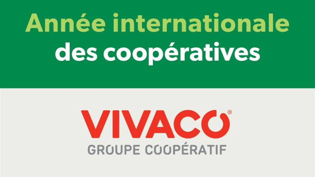 Logo de l'Année internationale des coopératives et logo de VIVACO groupe coopératif