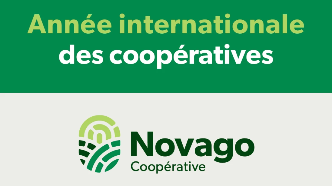 Logo de l'Année internationale des coopératives et logo de Novago Coopérative