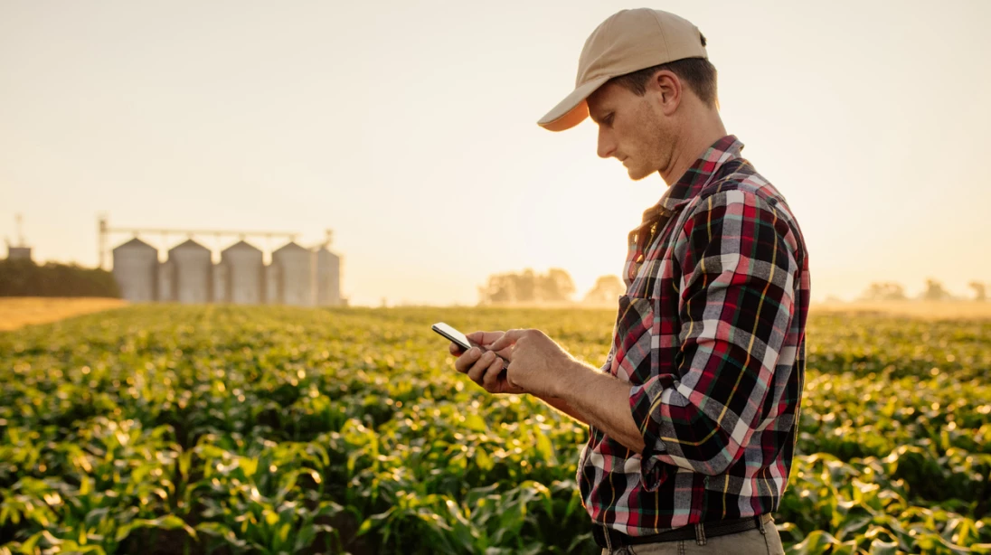 Homme dans un champ regardant son téléphone