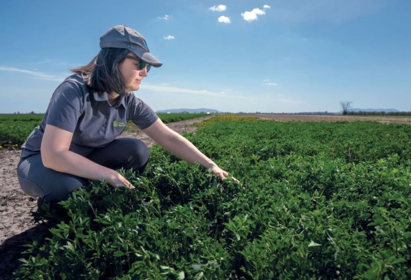 Agronome accroupie dans un champ