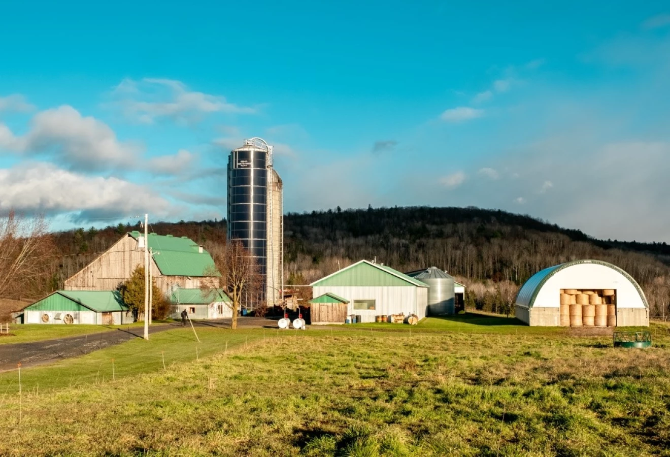Ferme