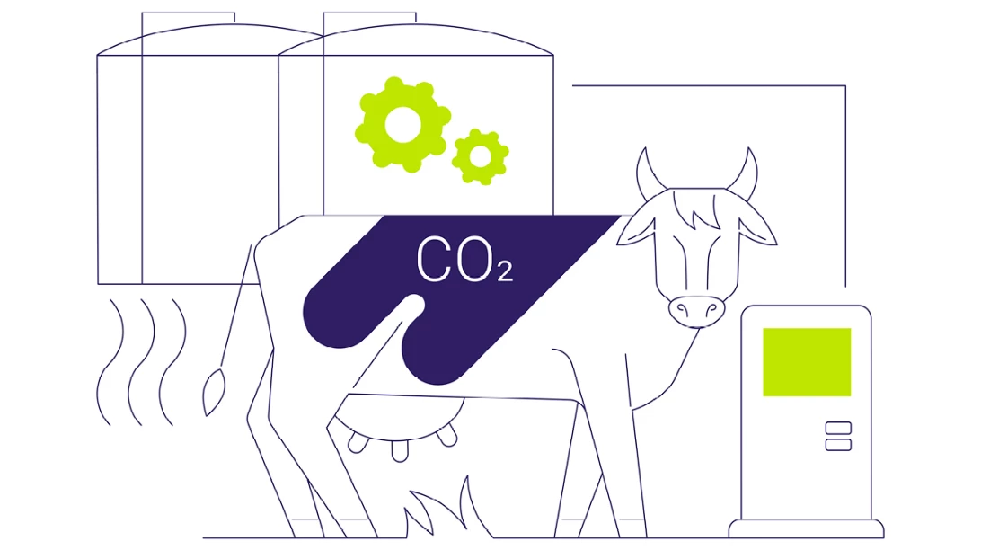 Illustration de vache