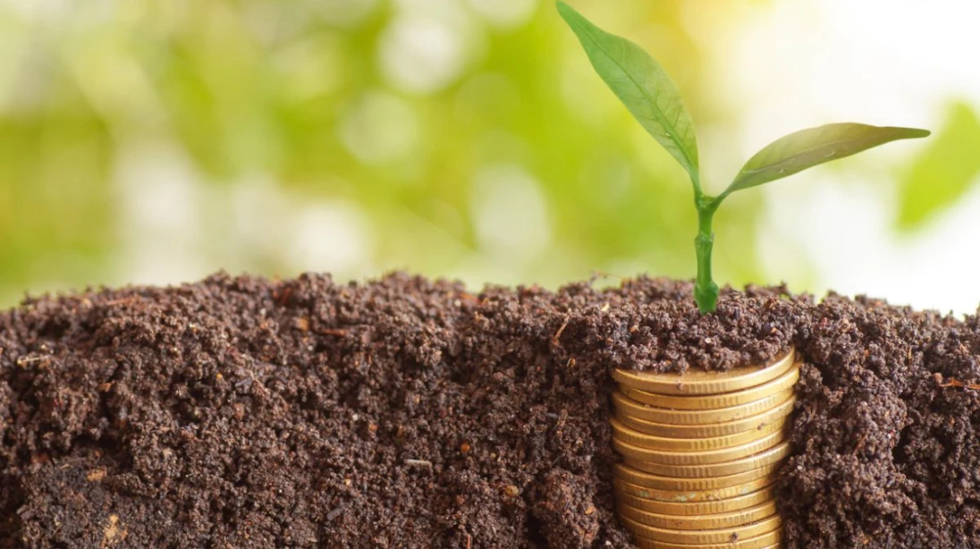 Monnaie sous terre qui donne naissance a une pousse