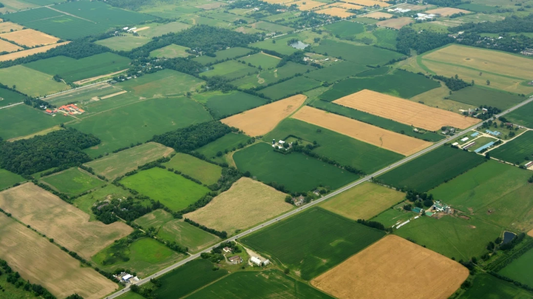 Terres agricoles morcellés