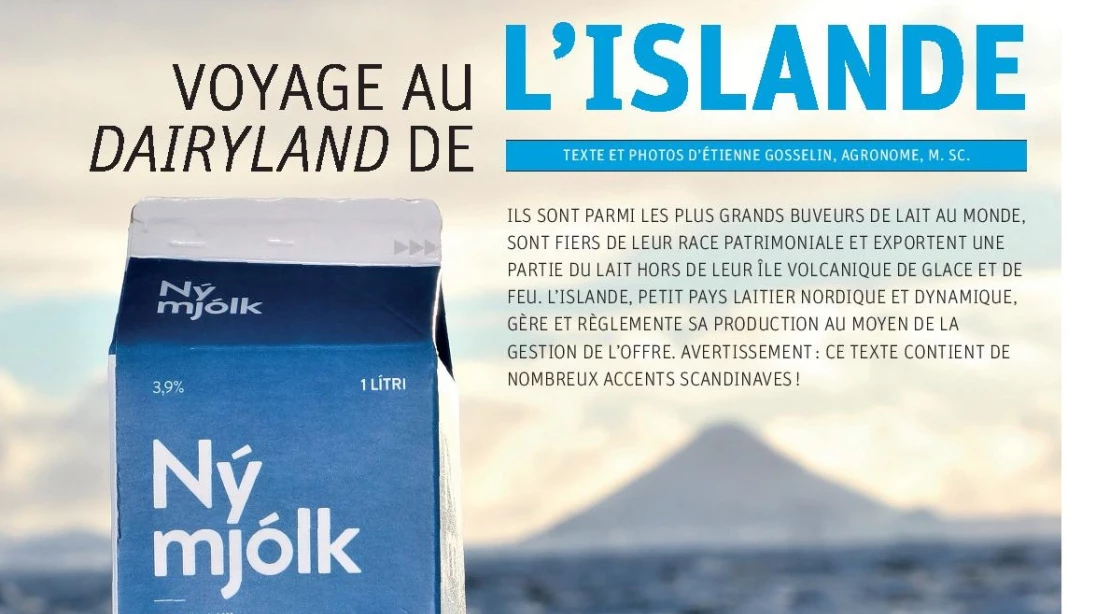 Capture de l'article Voyage au Dairyland de l'Islande