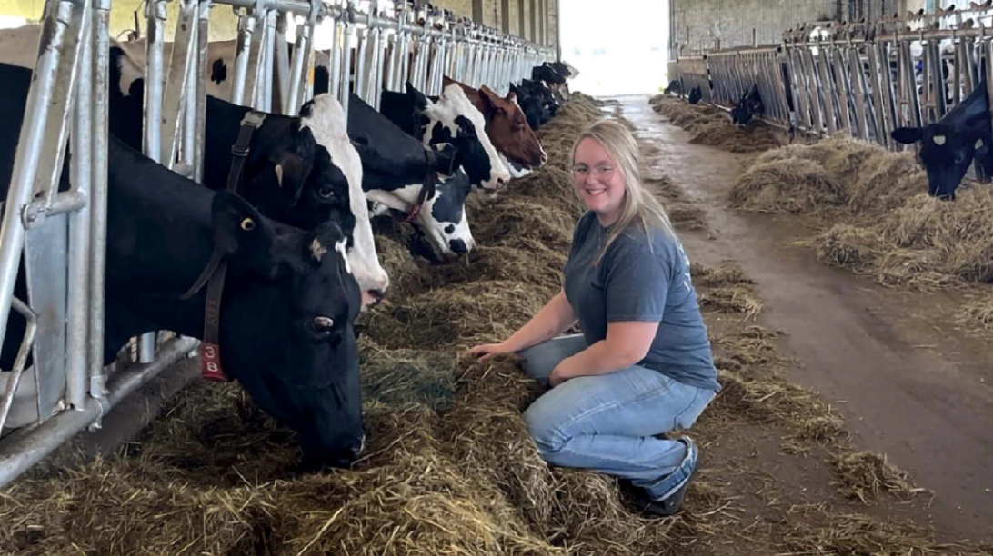 Catherine Vigneault accroupie avec des vaches