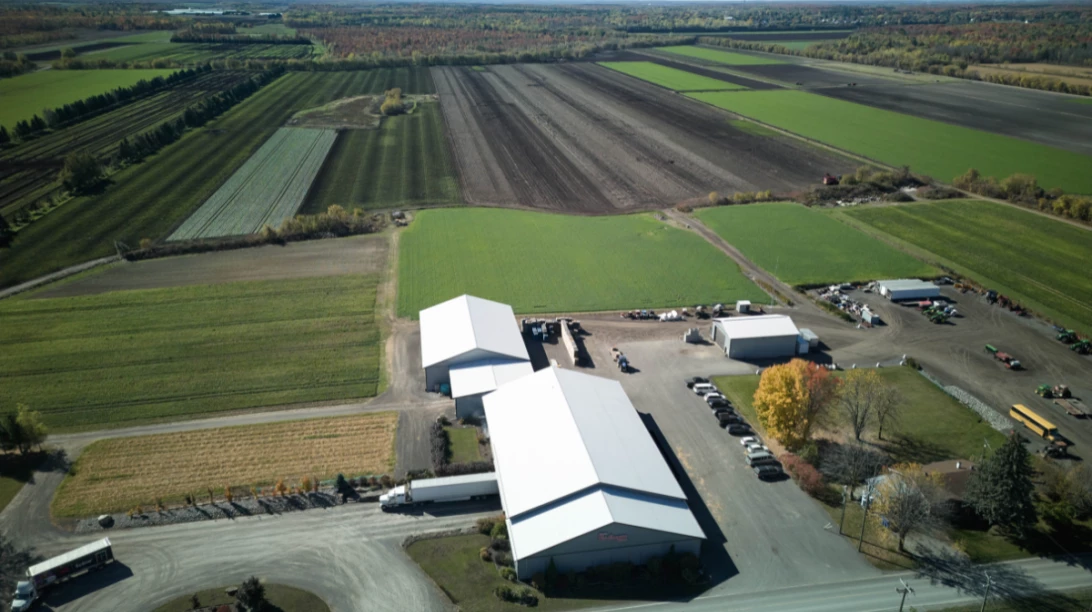 Paysage agricole d'une ferme de laitue