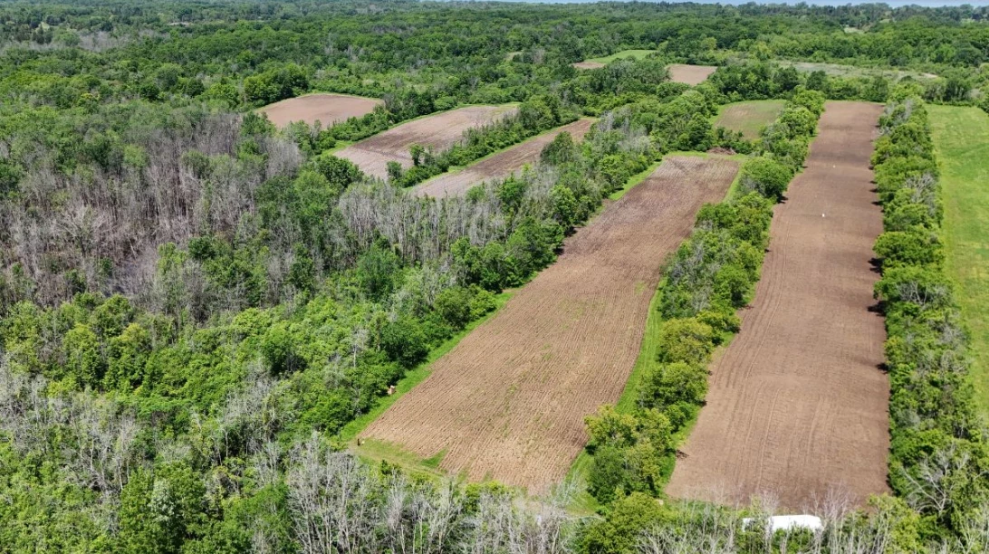 Site du paysage humanidé de l'île-Bizard