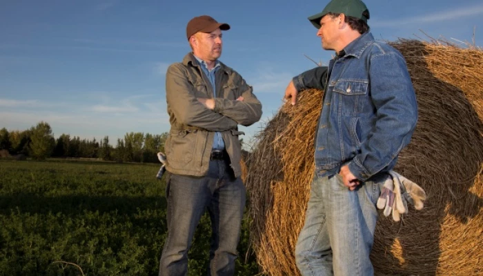 gestion communication