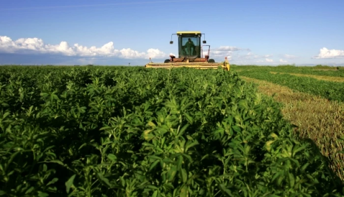 istock 000000664508 large - copie