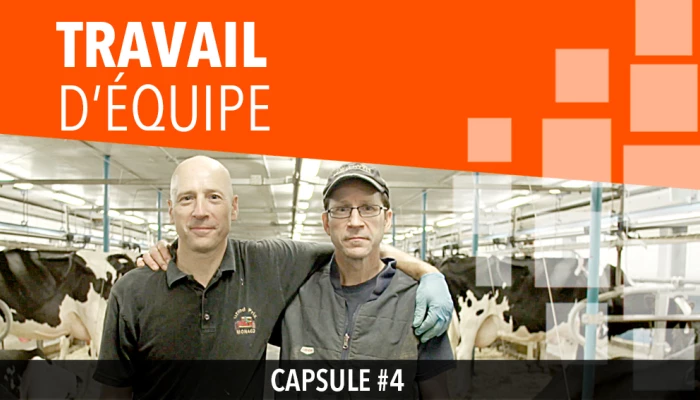 Capsule 4