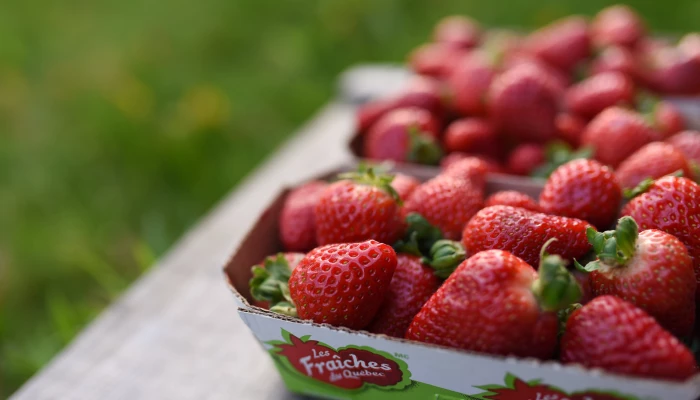 Paquet de fraises Les fraîches du Québec.