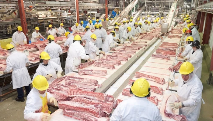 Intérieur de l'usine de transformation de porc de Red Deer en Alberta.