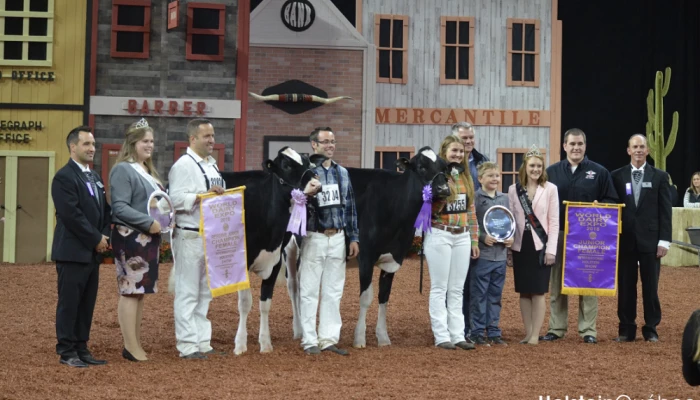 Gagnants du Championnat Junior Holstein.