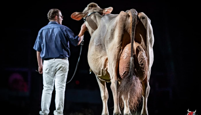 Grande Championne suprême pour une 2e année consécutive.