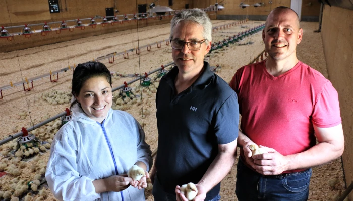 ferme avicole a. choquette jasons dindon