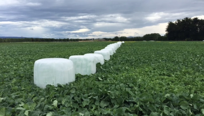 Pellicule d'ensilage Agrizone Xpert.