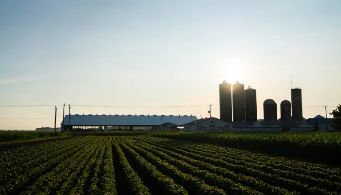 les-clients-de-sollio-agriculture-se-demarquent