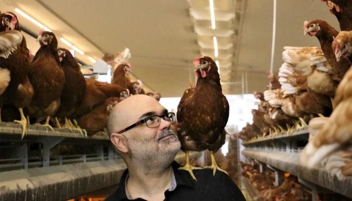 les-houle-et-les-poules-sortir-du-moule