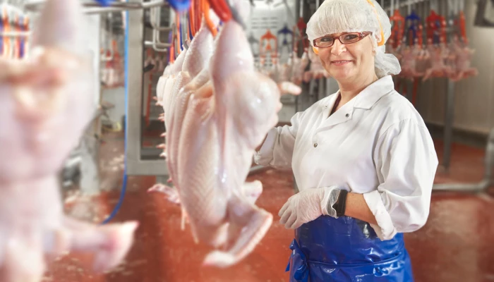 olymel-investit-plus-de-30-millions-de-dollars-a-son-usine-de-saint-damase