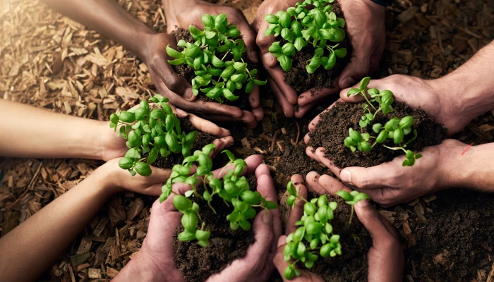 quatre-cooperatives-du-reseau-au-classement-des-300-pme-les-plus-perennes-du-quebec