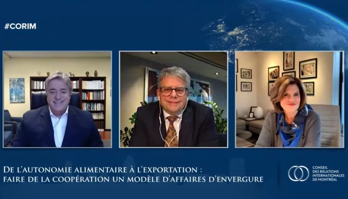 Pierre Lemonde, Liza Frulla et Gaétan Desroches en appel vidéo.