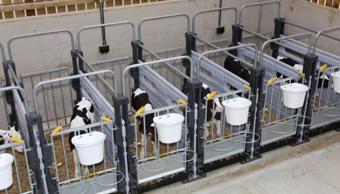 Photo d'enclos à vaches.