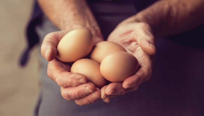 Oeufs