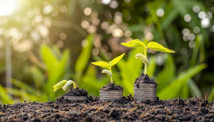 Plants qui poussent sur des pièces de monnaie.