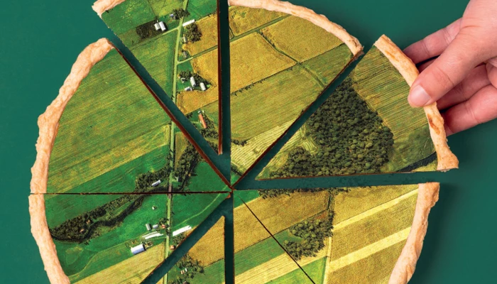 Tarte de terres séparée